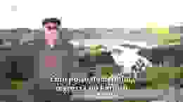 ---